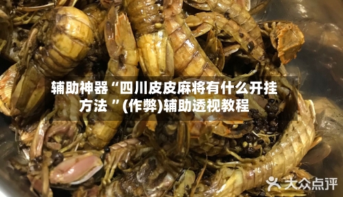 辅助神器“四川皮皮麻将有什么开挂方法 ”(作弊)辅助透视教程-第2张图片