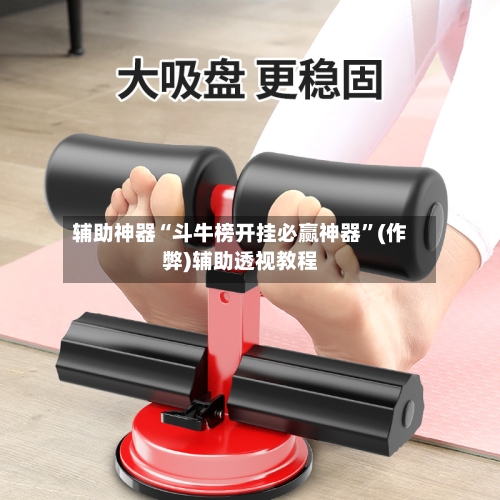 辅助神器“斗牛榜开挂必赢神器”(作弊)辅助透视教程-第3张图片