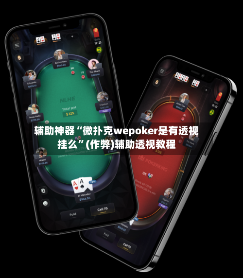 辅助神器“微扑克wepoker是有透视挂么”(作弊)辅助透视教程-第3张图片
