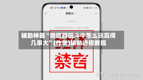 辅助神器“微信群玩斗牛怎么玩赢得几率大”(作弊)辅助透视教程-第2张图片