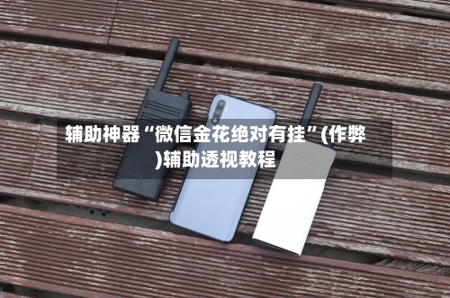 辅助神器“微信金花绝对有挂”(作弊)辅助透视教程-第2张图片