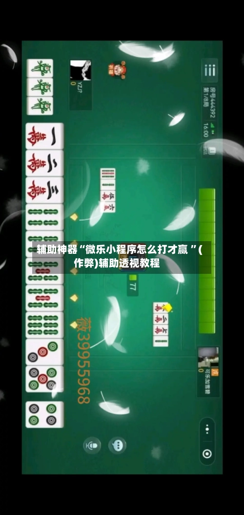 辅助神器“微乐小程序怎么打才赢 ”(作弊)辅助透视教程-第2张图片