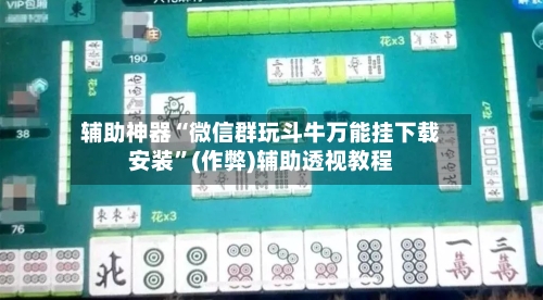辅助神器“微信群玩斗牛万能挂下载安装	”(作弊)辅助透视教程-第3张图片