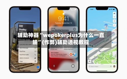 辅助神器“wepokerplus为什么一直输”(作弊)辅助透视教程-第2张图片