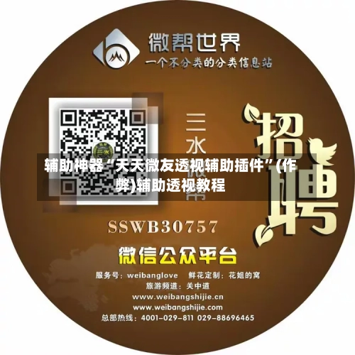 辅助神器“天天微友透视辅助插件”(作弊)辅助透视教程-第2张图片