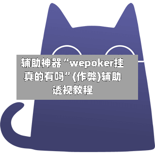 辅助神器“wepoker挂真的有吗	”(作弊)辅助透视教程-第1张图片