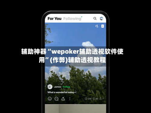 辅助神器“wepoker辅助透视软件使用”(作弊)辅助透视教程-第3张图片