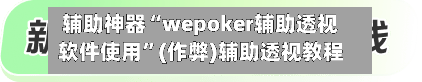 辅助神器“wepoker辅助透视软件使用	”(作弊)辅助透视教程-第2张图片