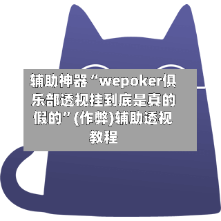 辅助神器“wepoker俱乐部透视挂到底是真的假的”(作弊)辅助透视教程-第2张图片