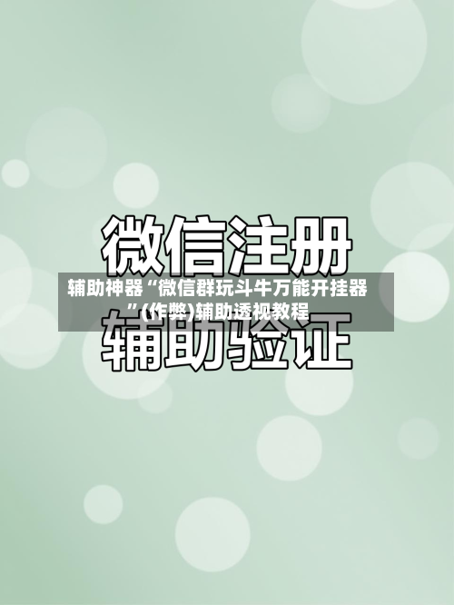 辅助神器“微信群玩斗牛万能开挂器”(作弊)辅助透视教程-第3张图片