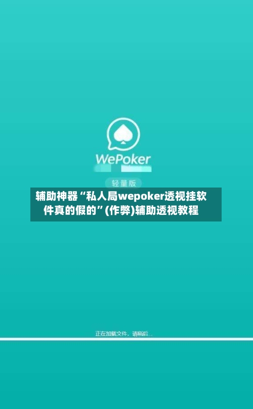 辅助神器“私人局wepoker透视挂软件真的假的”(作弊)辅助透视教程-第2张图片