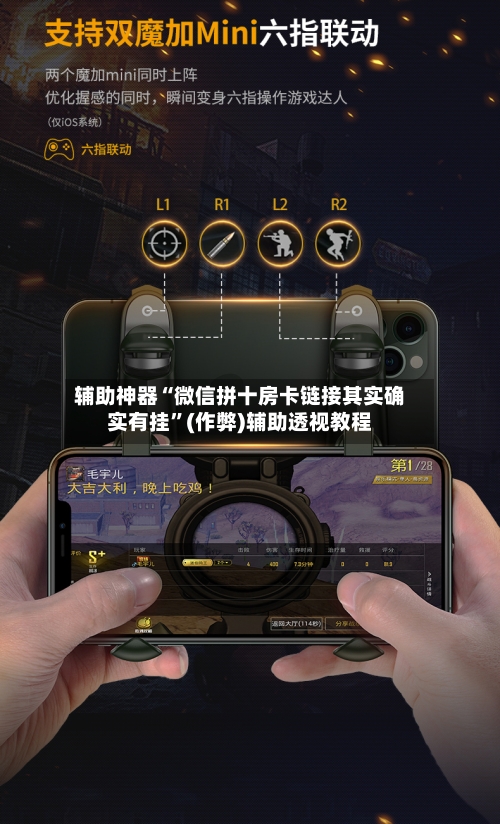 辅助神器“微信拼十房卡链接其实确实有挂”(作弊)辅助透视教程-第2张图片