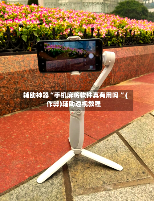 辅助神器“手机麻将软件真有用吗 ”(作弊)辅助透视教程-第3张图片
