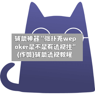 辅助神器“微扑克wepoker是不是有透视挂”(作弊)辅助透视教程-第2张图片