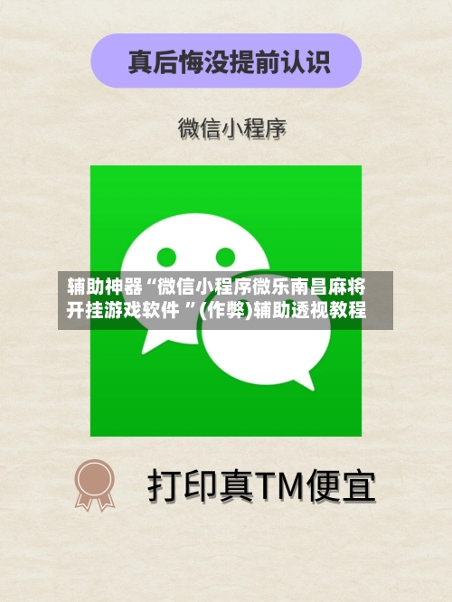 辅助神器“微信小程序微乐南昌麻将开挂游戏软件 	”(作弊)辅助透视教程-第2张图片