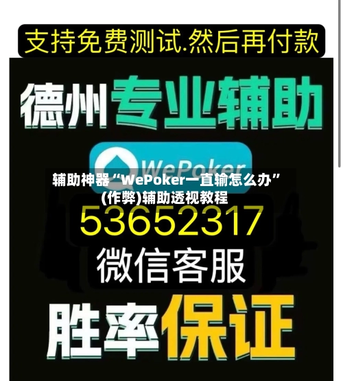 辅助神器“WePoker一直输怎么办	”(作弊)辅助透视教程-第3张图片